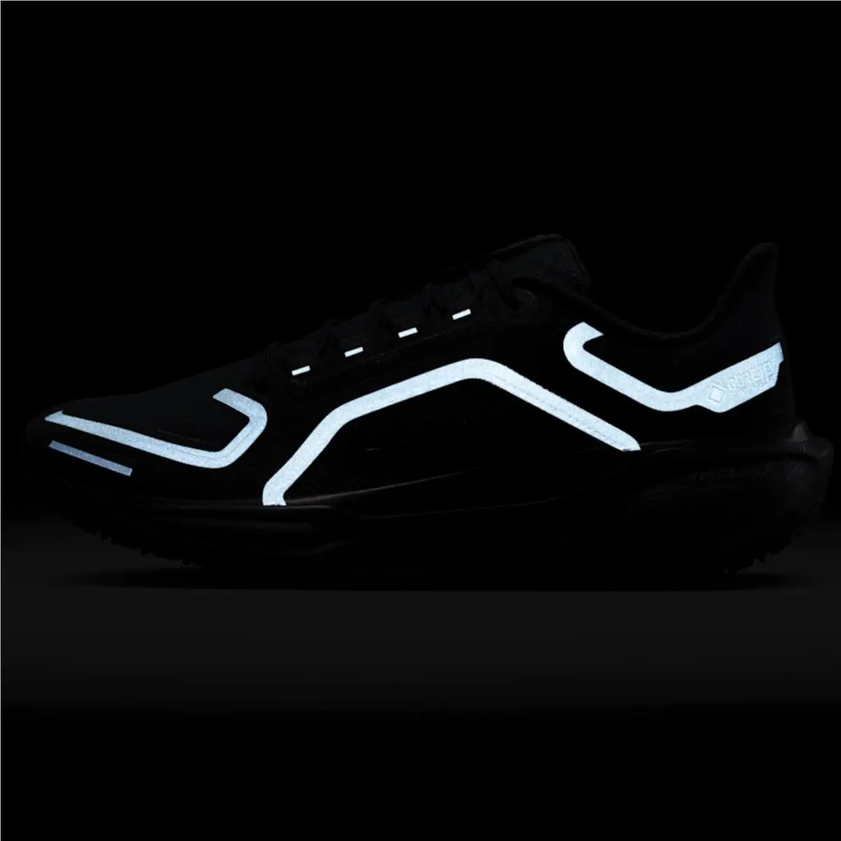 Nike shoes - Nike Pegasus 41 GORE-TEX - Pegasus - Black, Manufacturer: Black/Anthracite/Black 8