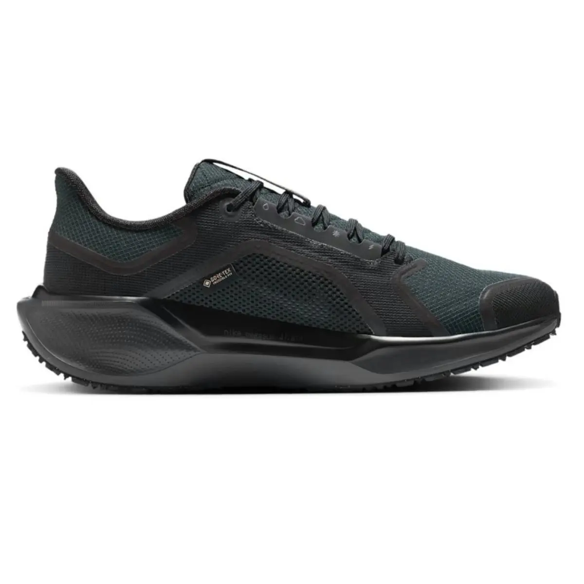 Nike shoes - Nike Pegasus 41 GORE-TEX - Pegasus - Black, Manufacturer: Black/Anthracite/Black 17