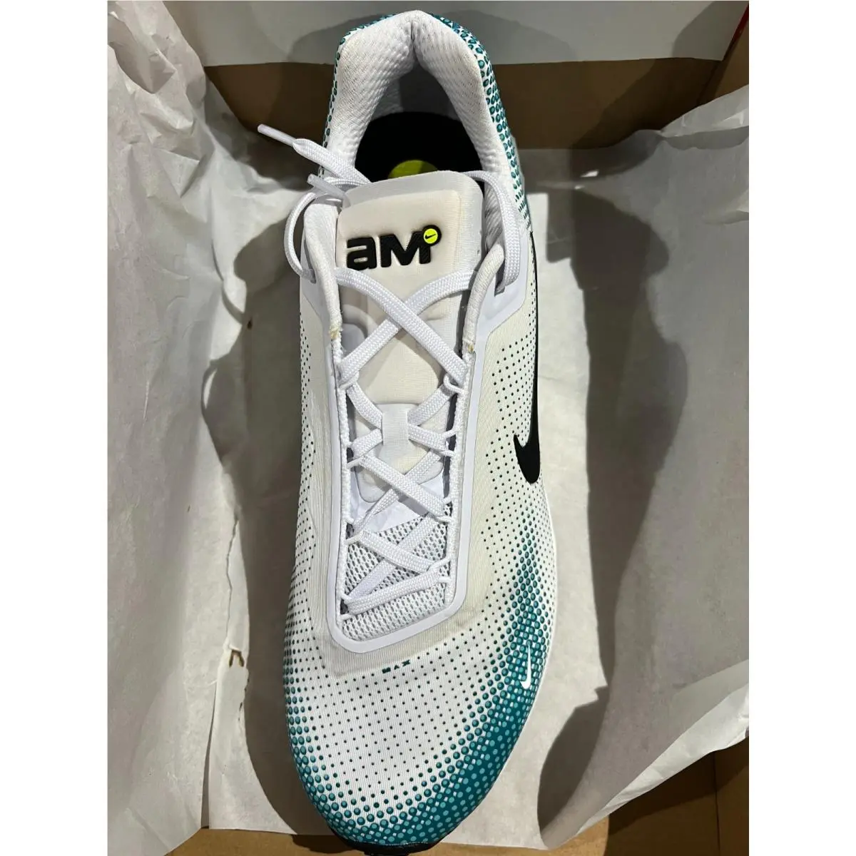 Nike shoes - FZ5307 - FZ5307 - WHITE/BLACK DUSTY CACTUS 2