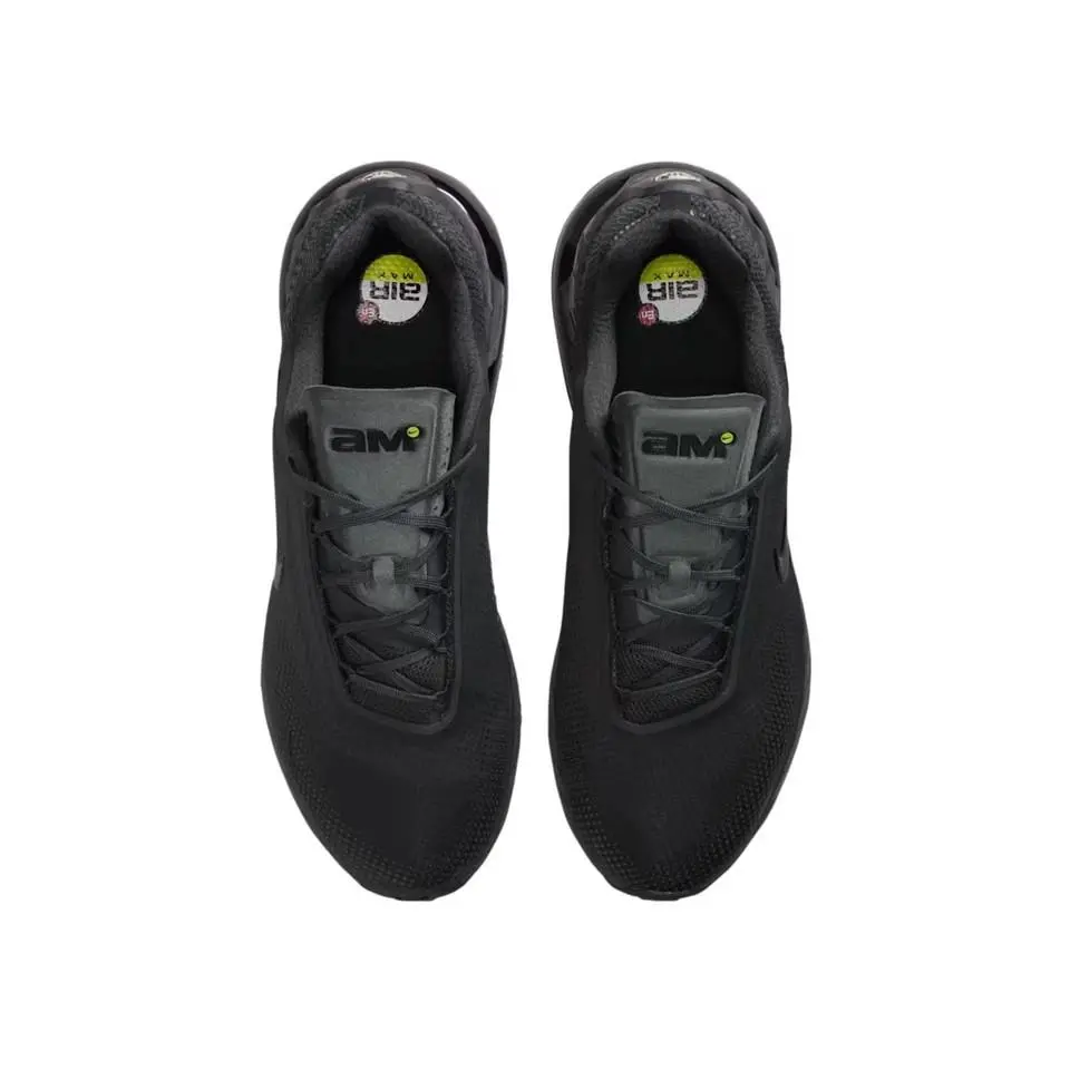 Nike shoes - Nike Air Max Phoenix - Air Max Phoenix - FZ5307-004 - ANTHRACITE /BLACK ANTHRACITE 1