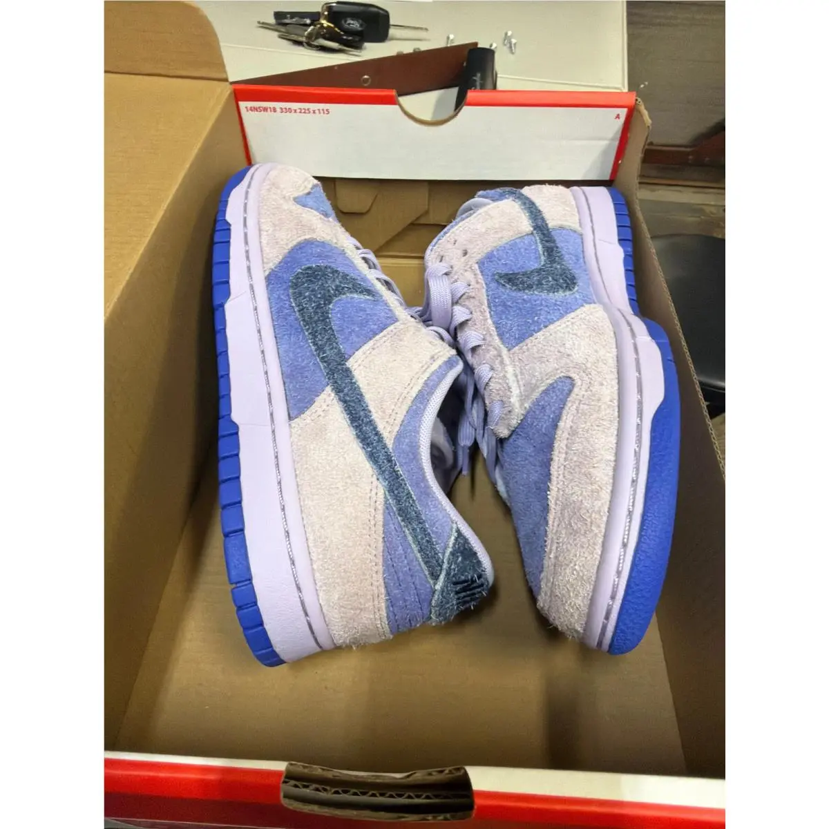 Nike Dunk Low SE Hydrangeas Women`s