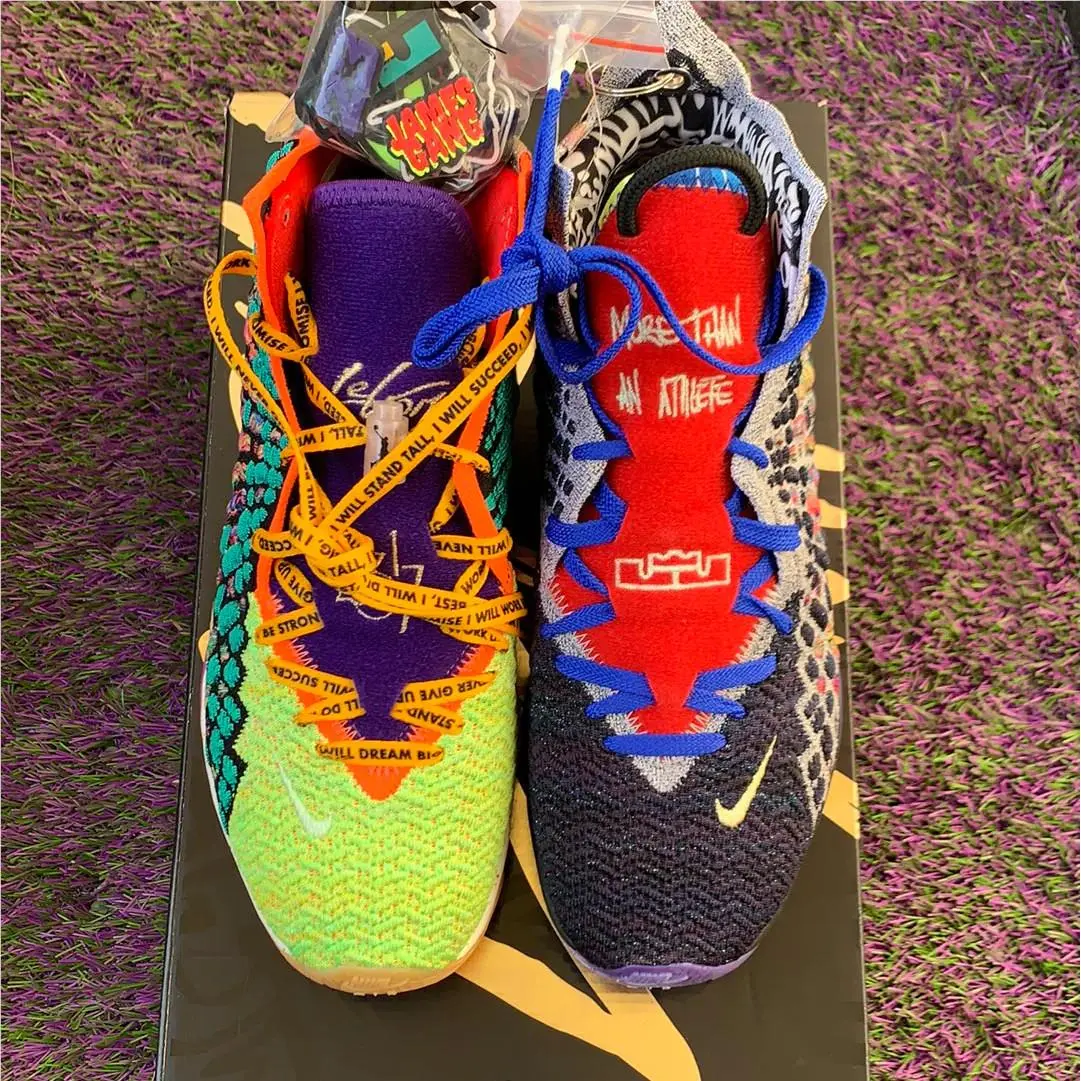 Nike Lebron Xvii What The Men`s Size 9.5 DS