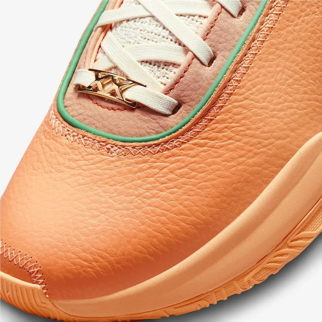 Nike shoes - Florida A&M - Florida - Orange 2