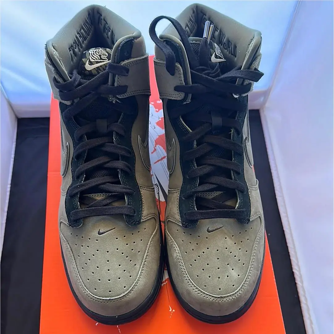 Nike Dunk Hi SP Tiger 2022 DR1456-200 Men`s Size 11.5 DS