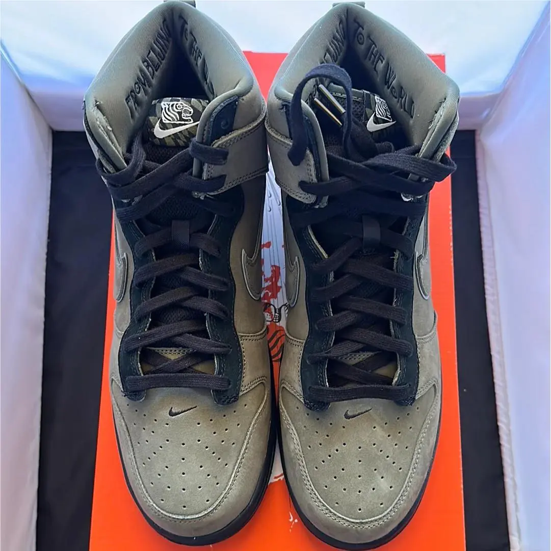 Nike shoes - Dunk High - Dunk High - DR1456-200 - Green, way: Tiger 6
