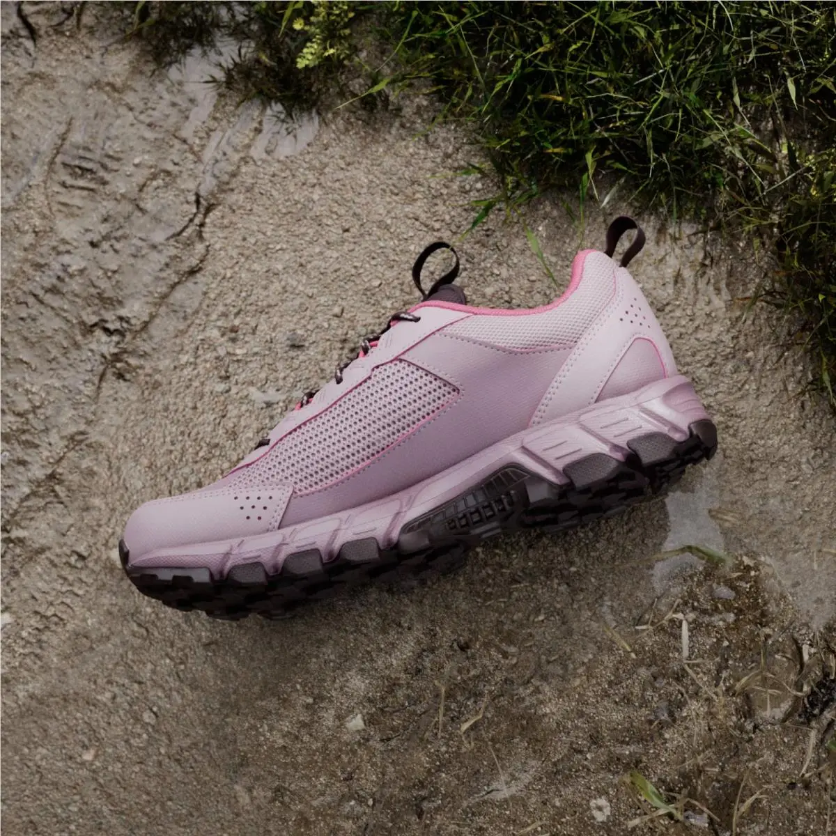 Adidas shoes - Dual Lilac / Magic Mauve / Pure Turbo 7