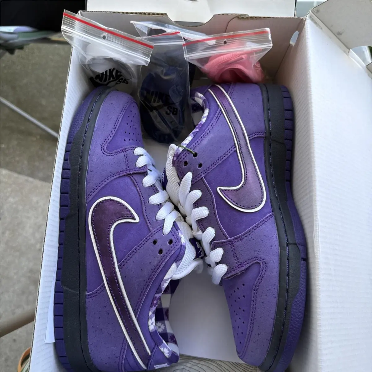 2018 Nike Dunk Low SB Sz 6.5 Purple Lobster x Concepts BV1310-555