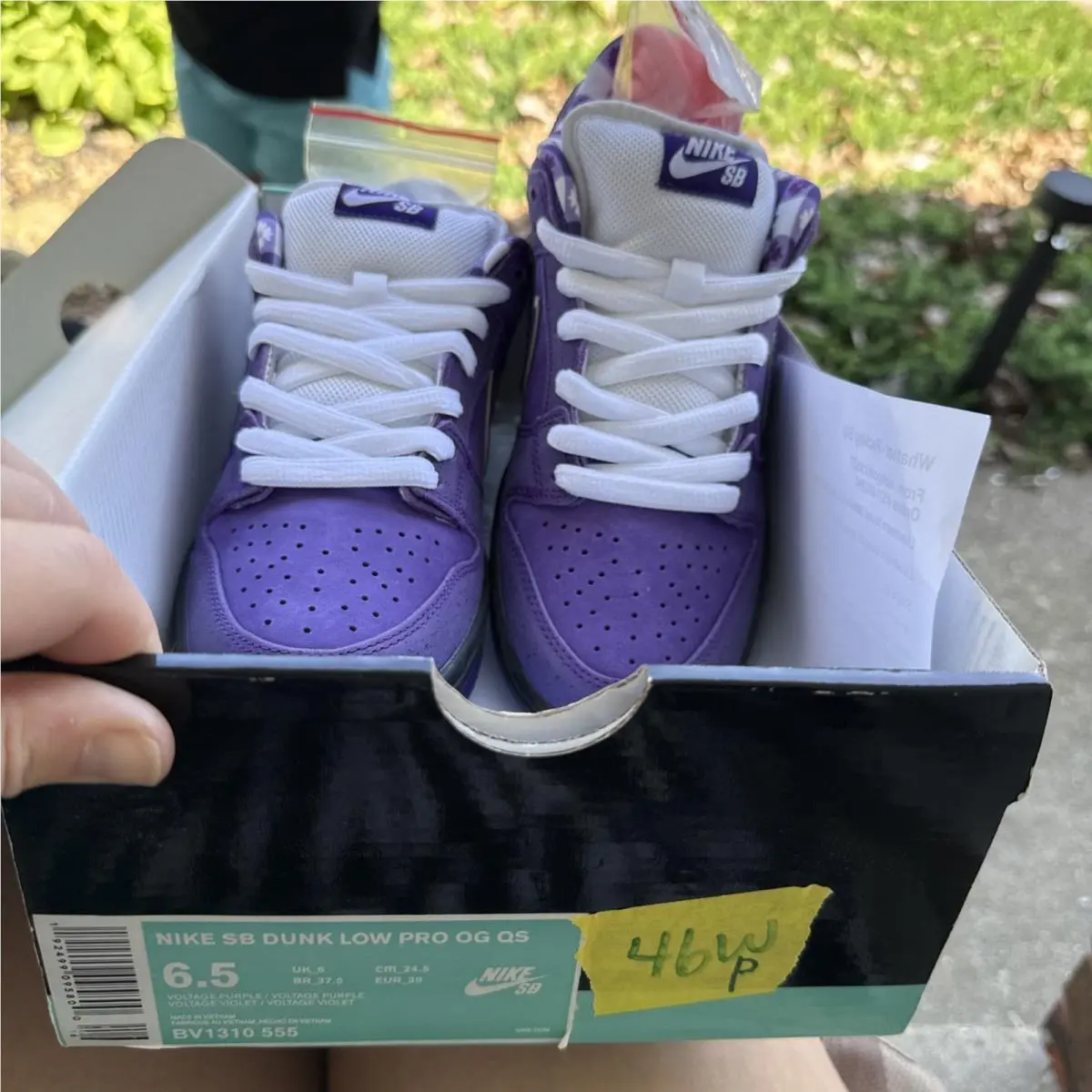 Nike shoes - Nike SB Dunk Low - Dunk Low - BV1310-555 - Purple 0