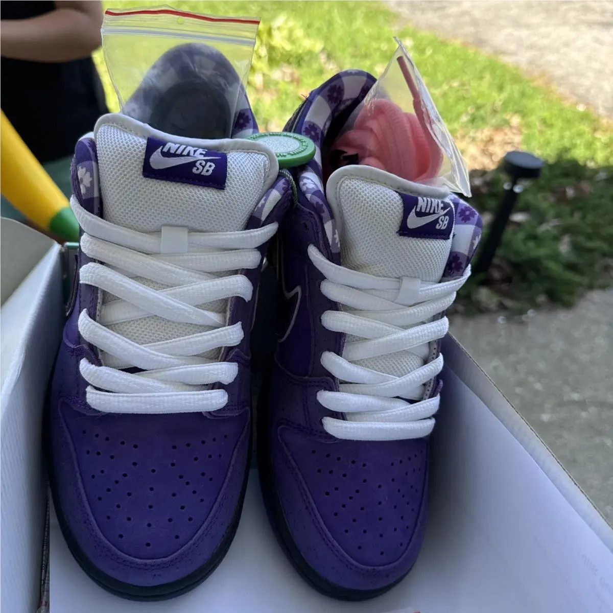 Nike shoes - Nike SB Dunk Low - Dunk Low - BV1310-555 - Purple 1