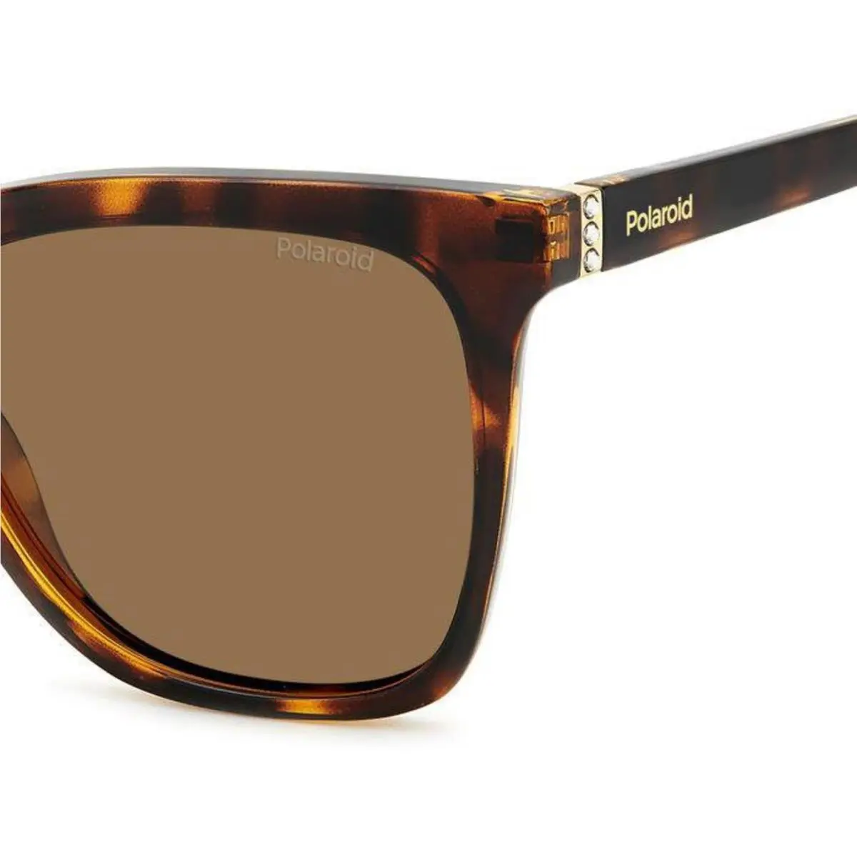 Polaroid Pld 4155 /s/x 86sp Sp Brown Polarized Size 55 Sunglasses