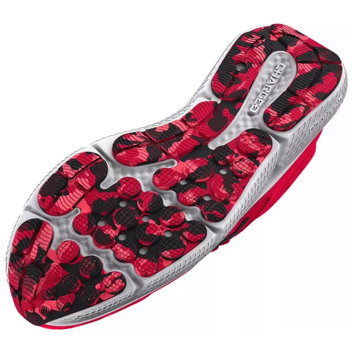 Under Armour shoes - Under Armour Charged Assert 10 - Red, Manufacturer: Red/Red/Black 28