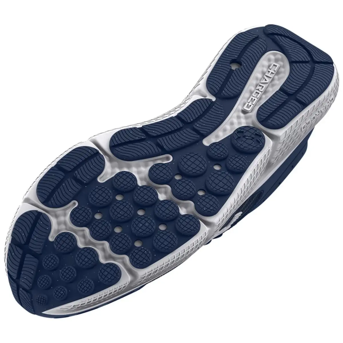 Under Armour shoes - Under Armour Charged Assert 10 - Blue, Manufacturer: Academy/Academy/White 7