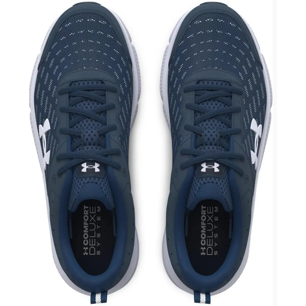 Under Armour shoes - Under Armour Charged Assert 10 - Blue, Manufacturer: Academy/Academy/White 12