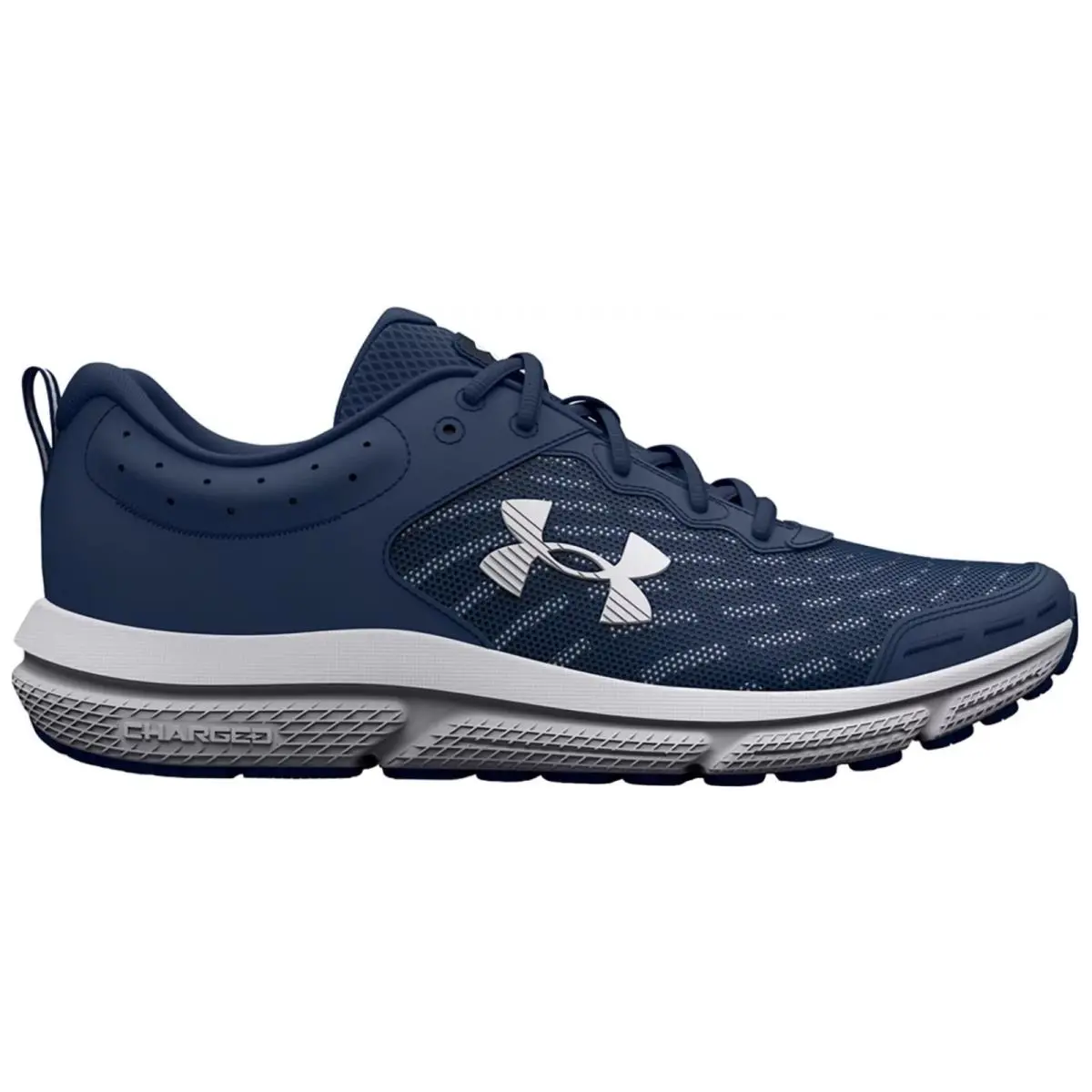 Under Armour shoes - Under Armour Charged Assert 10 - Blue, Manufacturer: Academy/Academy/White 28