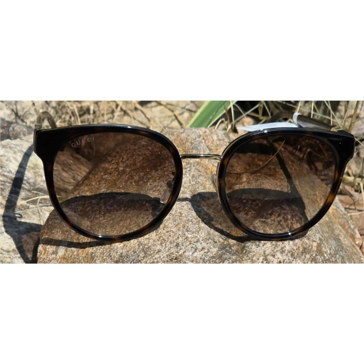 GG1027SK Havana Tortoise Brown W/gold Logo Round-frame Sunglasses by Gucci