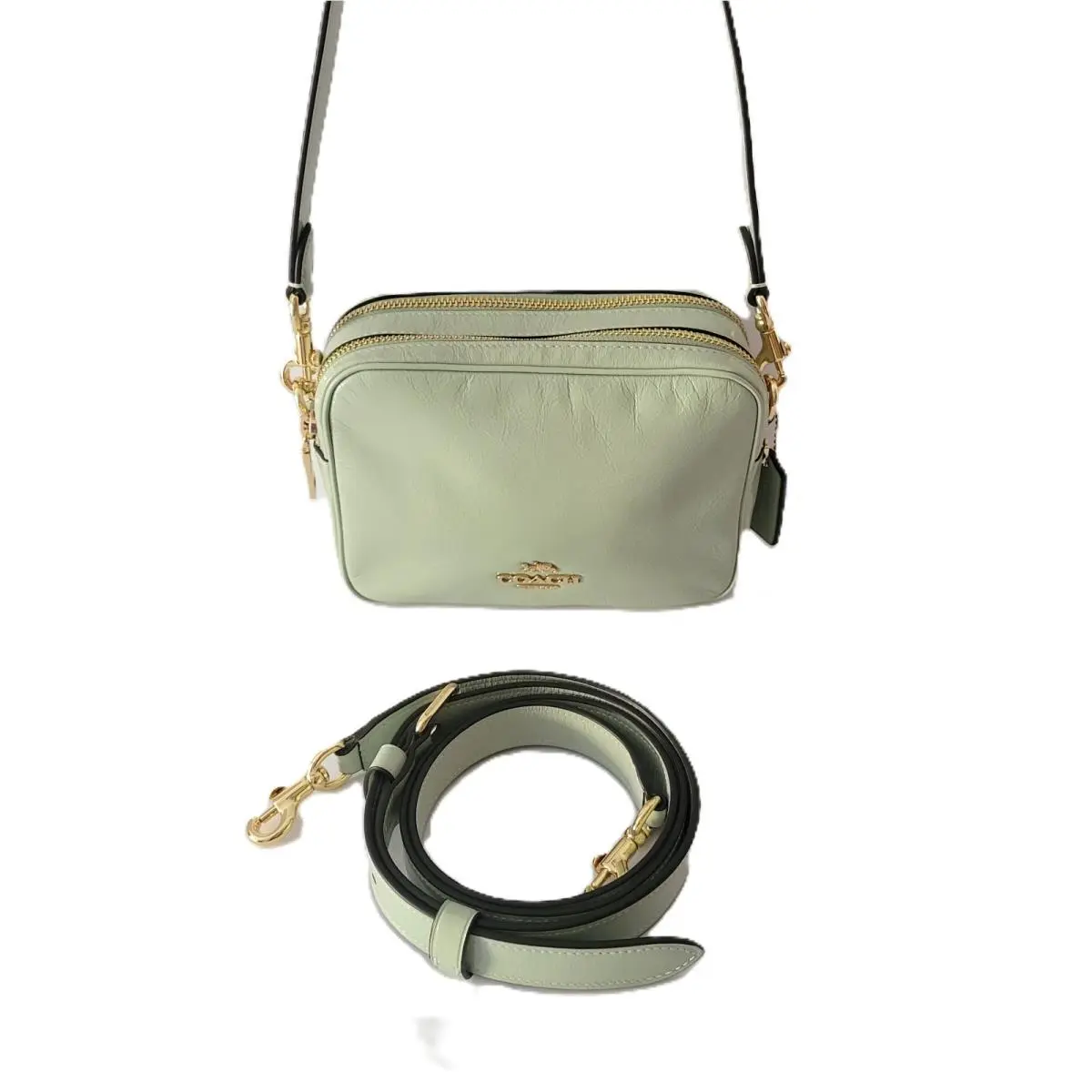 Coach CEK70 Mini Carey Glazed Leather Crossbody Bag Handbag Light Pistachio