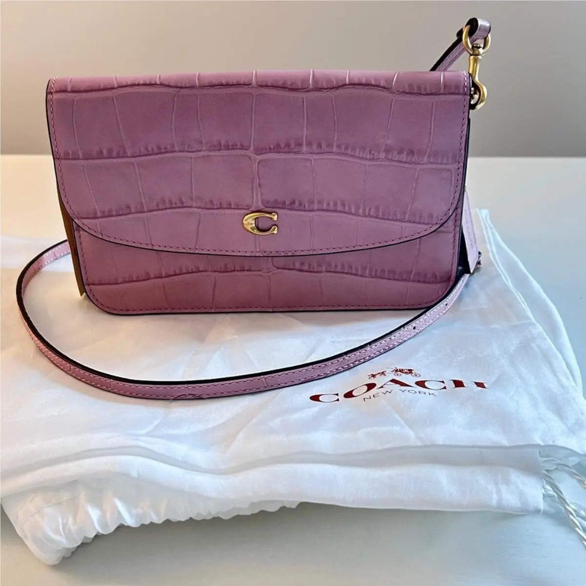 Coach Embossed Croc Hayden Crossbody Bag in Ice Purple Leather Dustbag