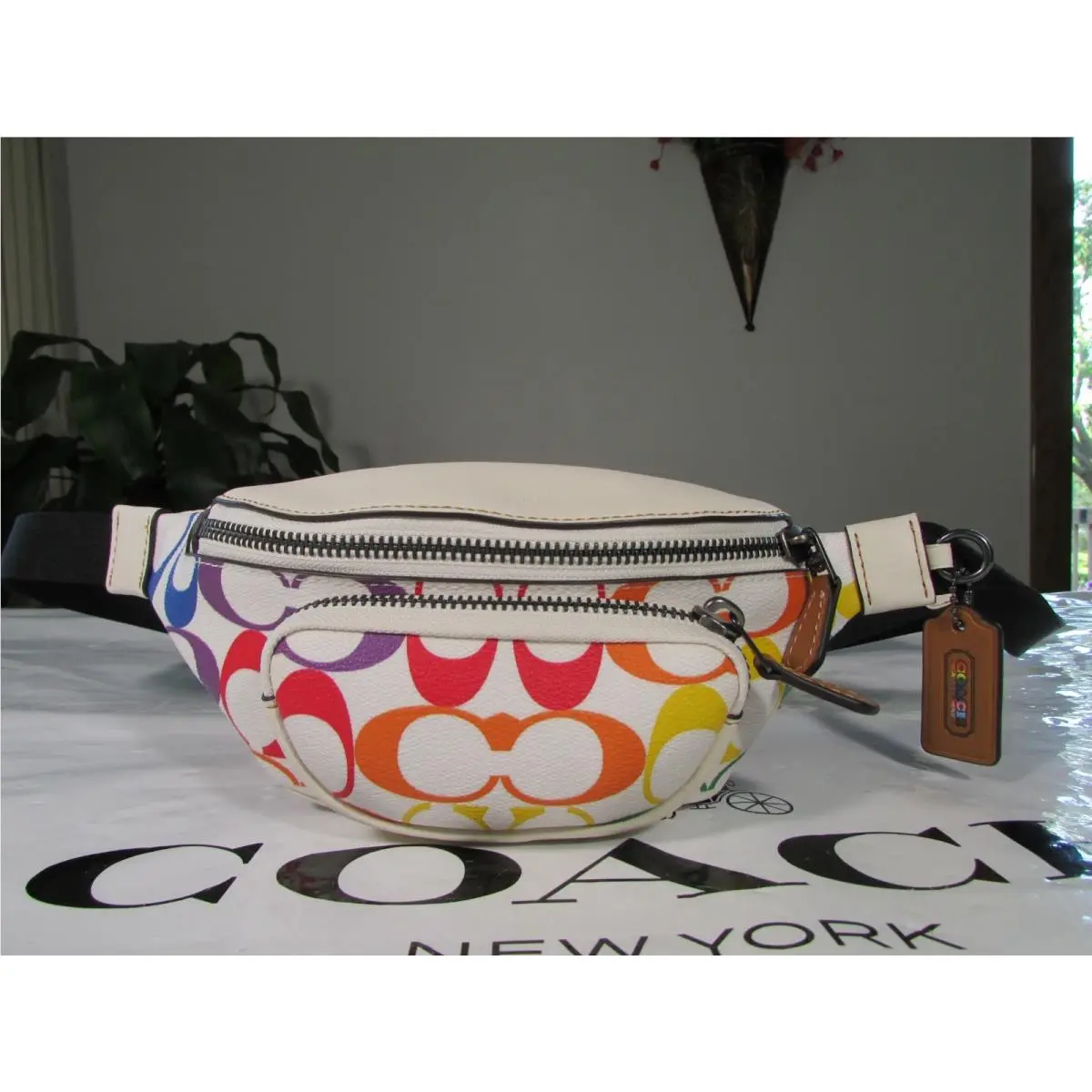 Coach Sprint Belt Bag 24 in Rainbow Signature CanvasCJ682 Chalk Multi