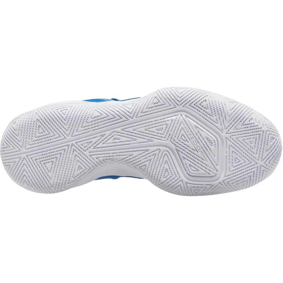 Nike shoes - Blue (UPC: 194276442418) 1