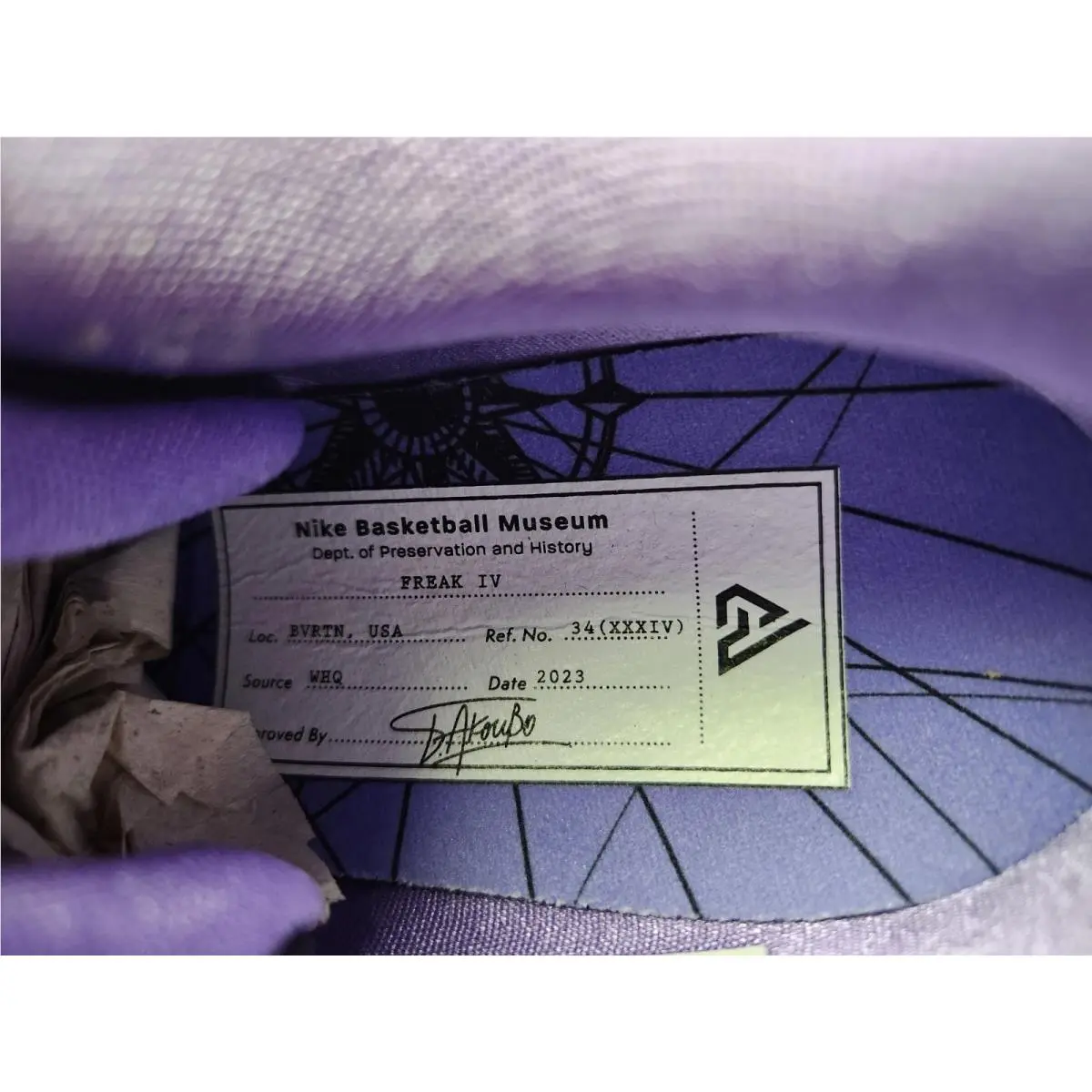 Nike shoes - Nike Zoom Freak - Zoom Freak - Purple 6