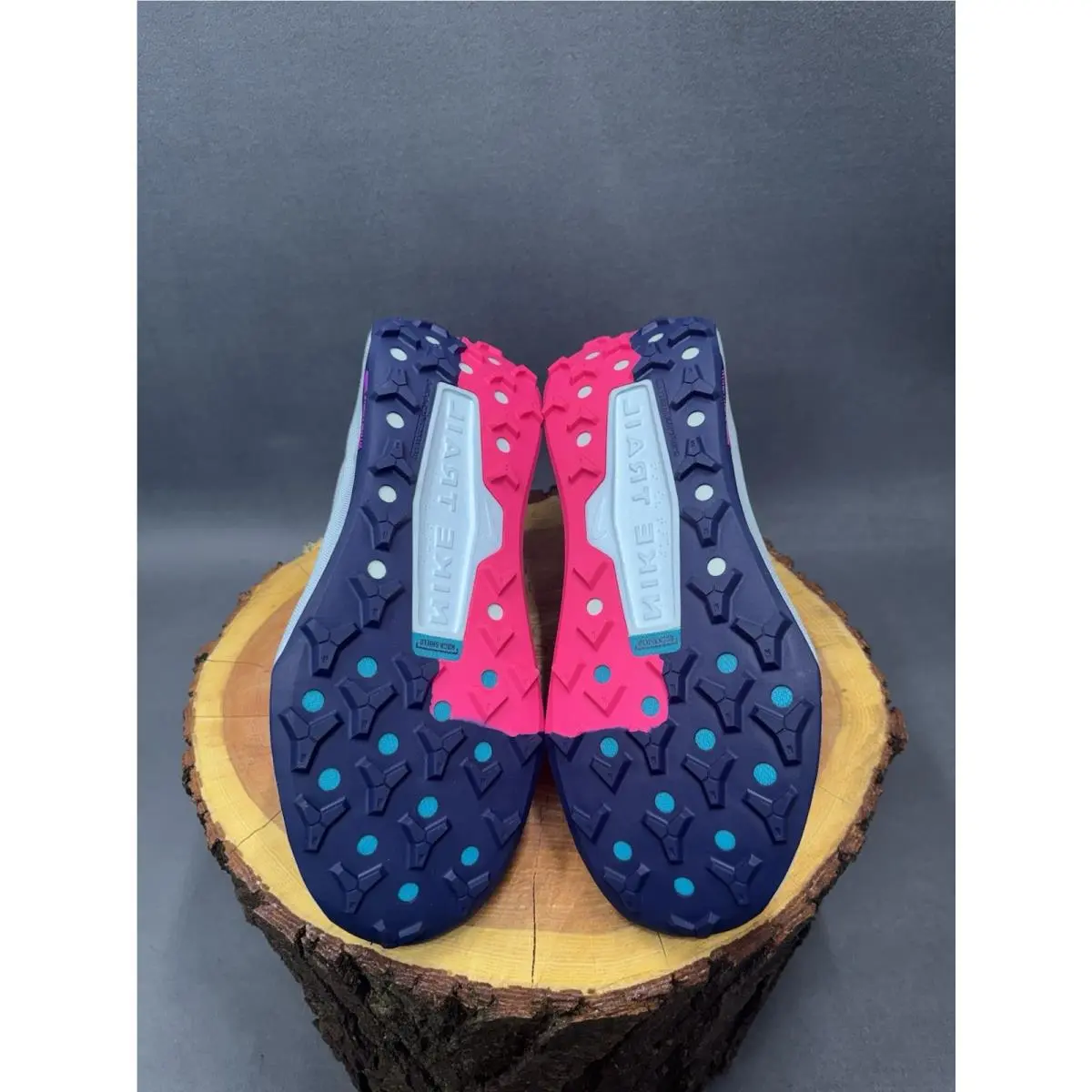 Nike shoes - Nike Wildhorse 10 - Wildhorse - FV2338 009 - Multicolor 2