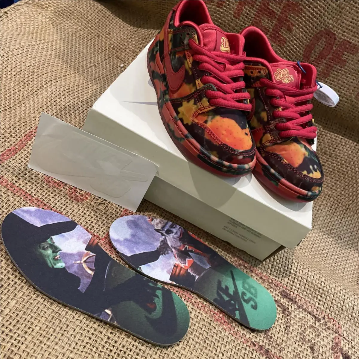 Nike Dunk Low Pro QS x The Wizard Of Oz Dorothy PS Youth Sz 11c FZ1236-600