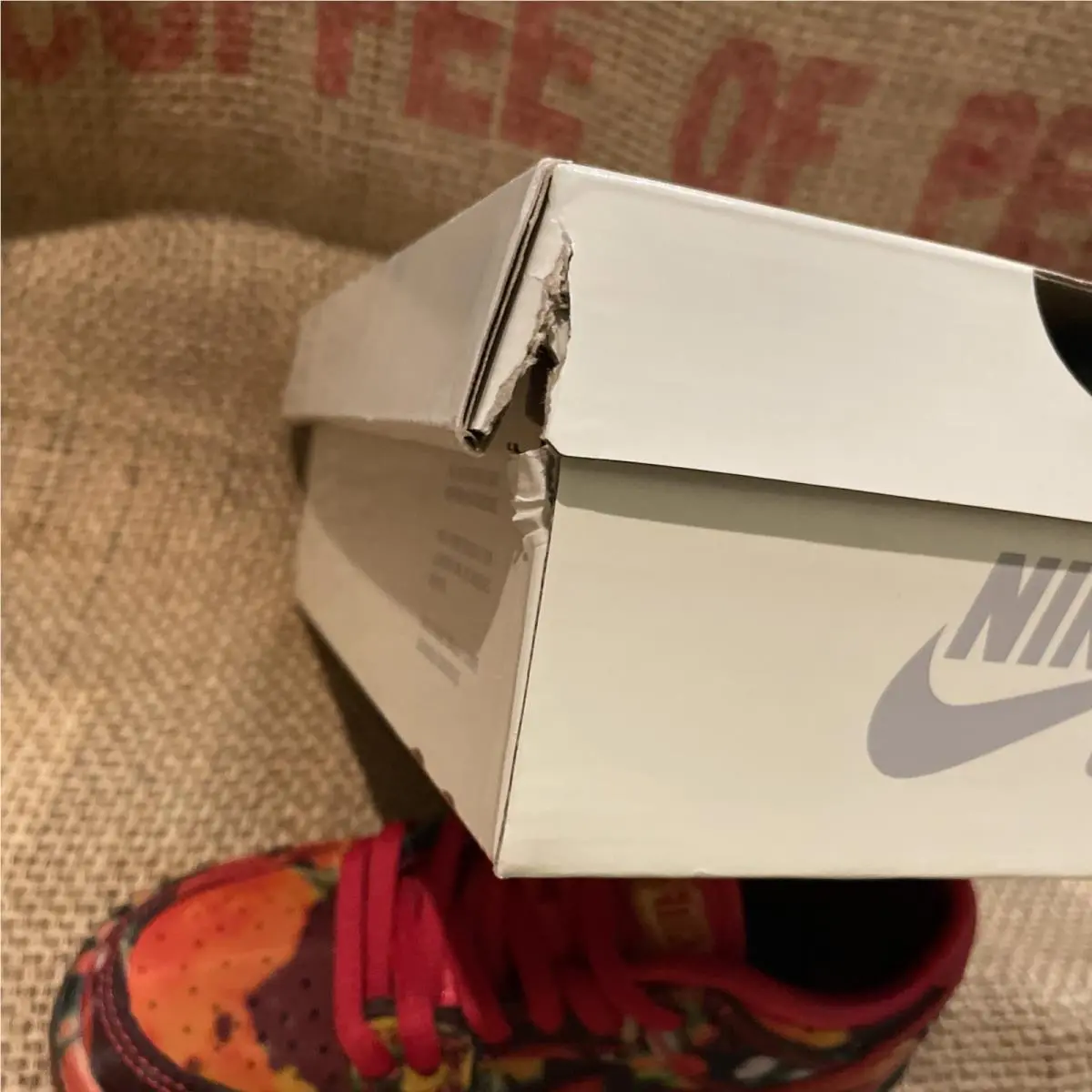 Nike shoes - Nike Dunk SB - Dunk - Red (UPC: 197862176735) 13