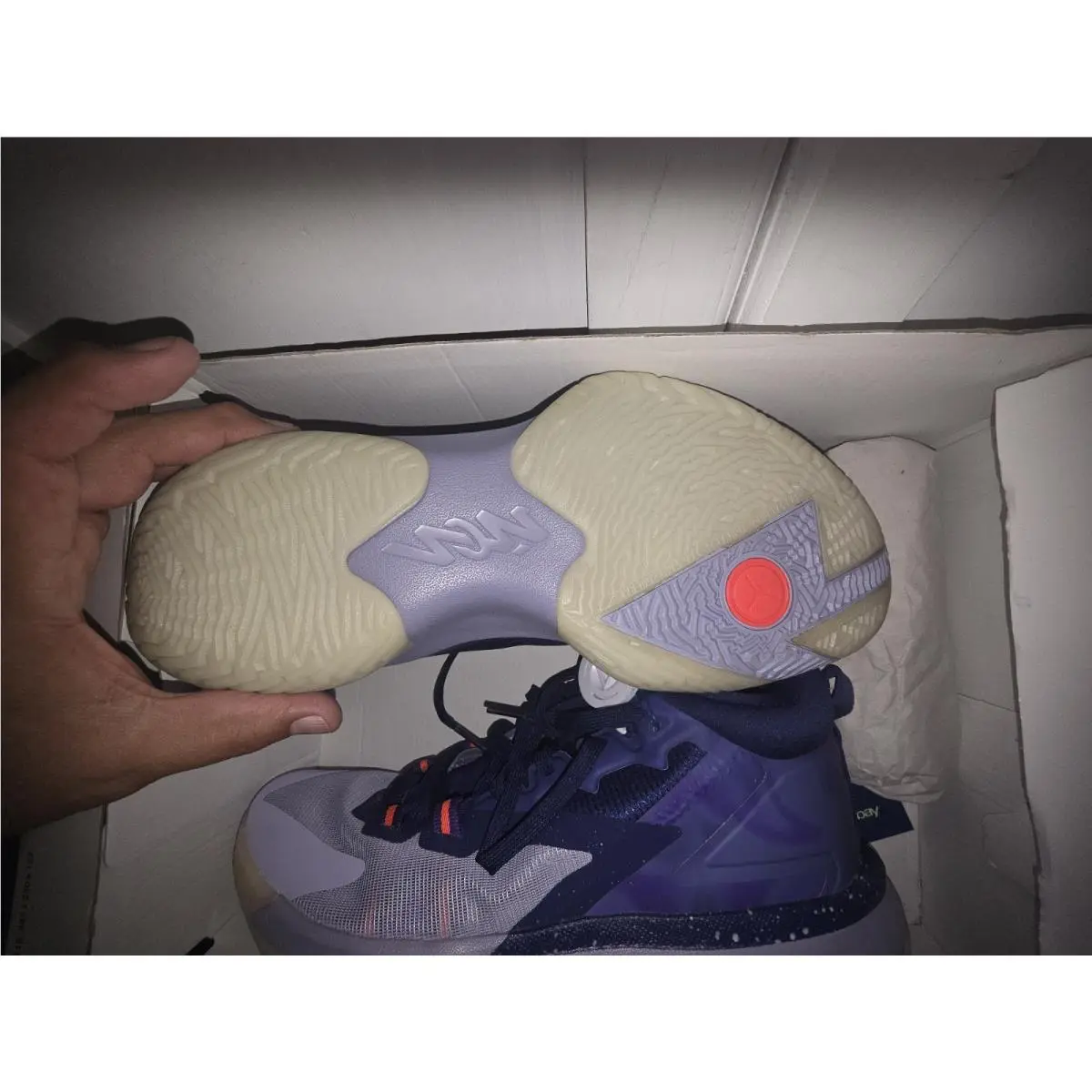 Nike shoes - Nike LeBron 19 - LeBron - DH1270-001 - Black 0