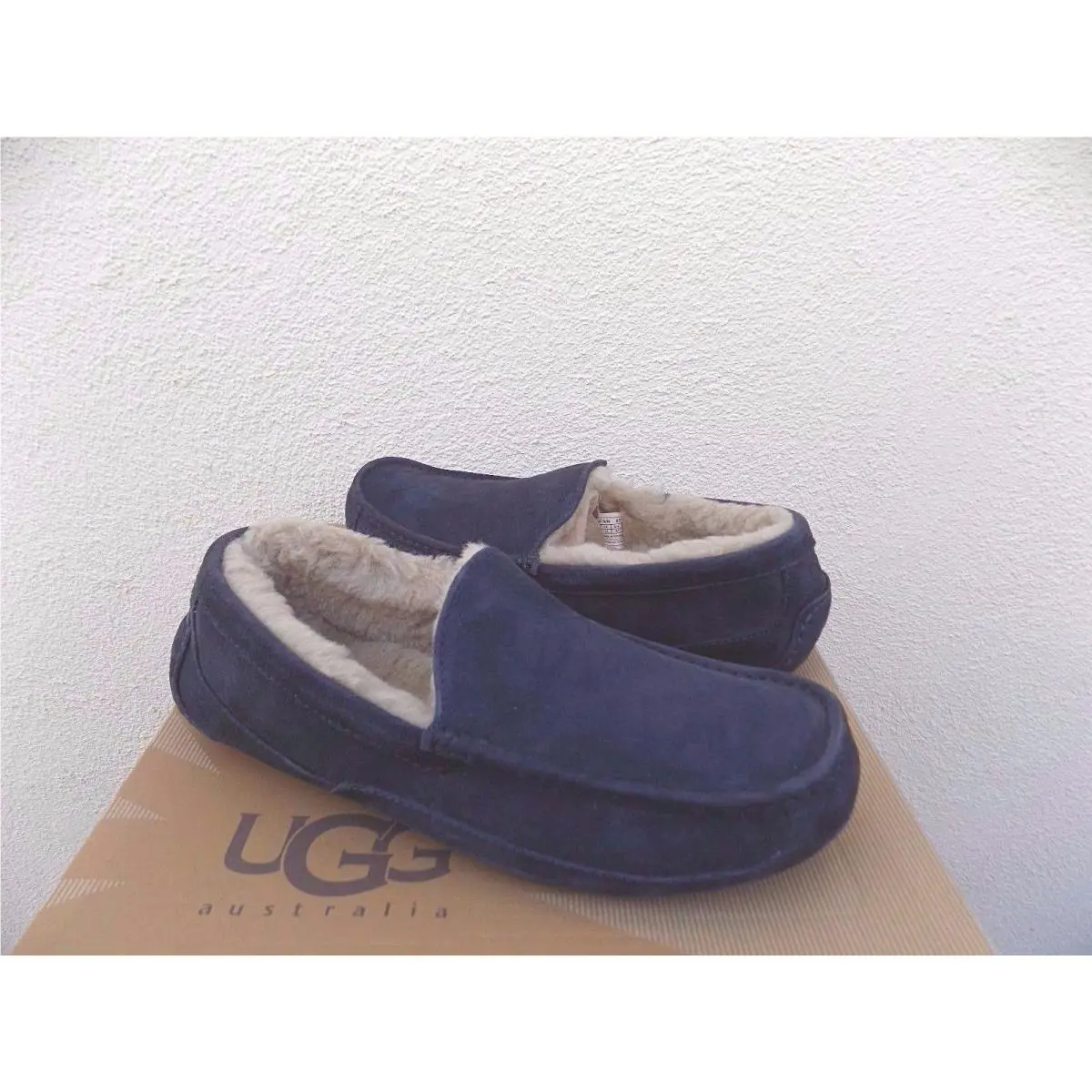 UGG shoes - UGG ASCOT - ASCOT - Blue (UPC: 888855219101) 2