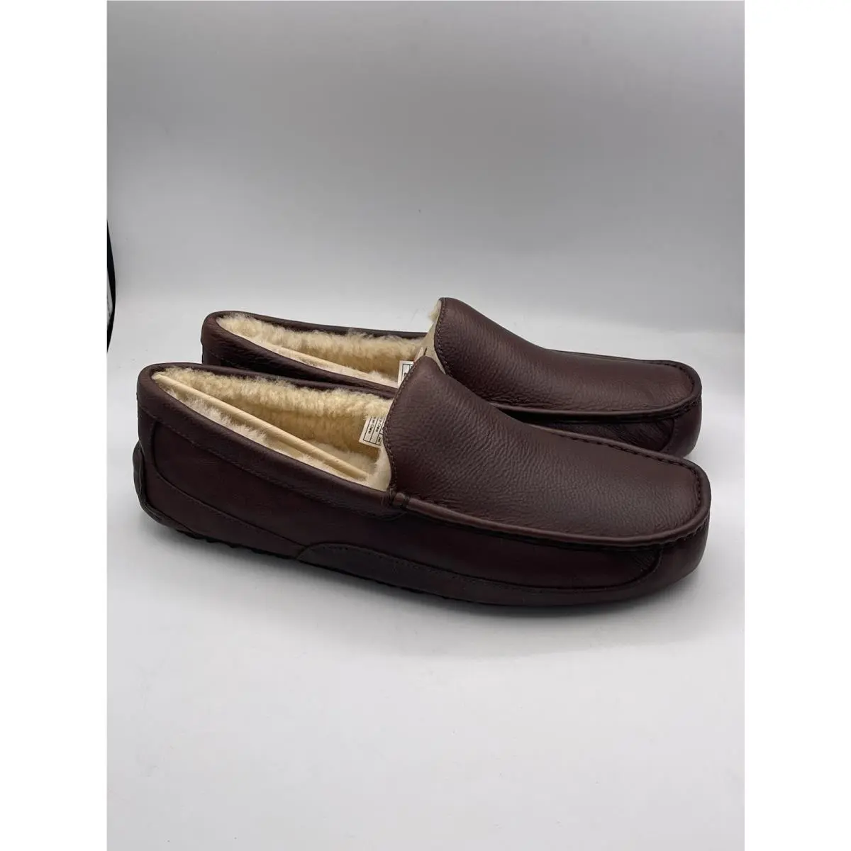 UGG shoes - UGG Ascot - Ascot - Brown 2
