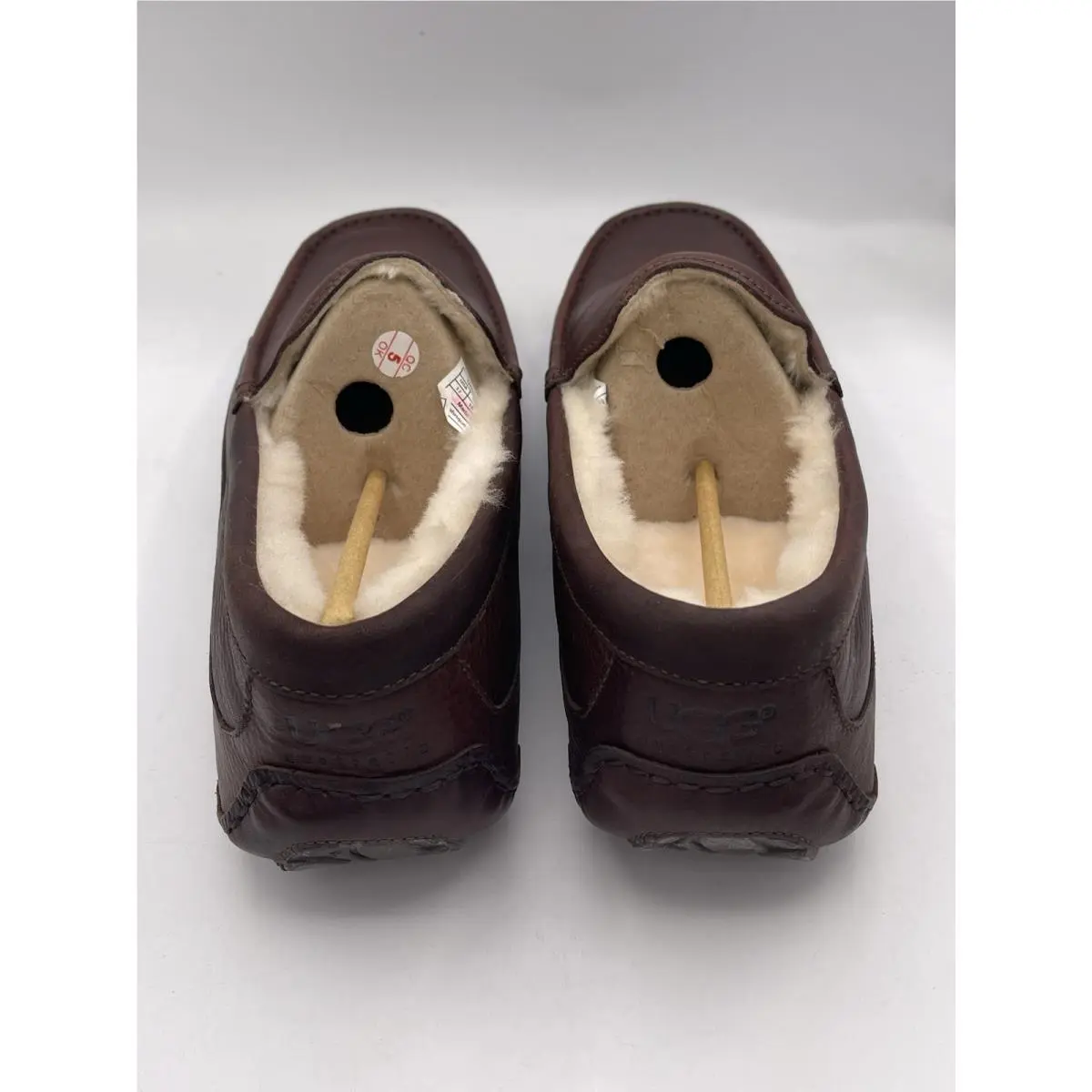 UGG shoes - UGG Ascot - Ascot - Brown 5