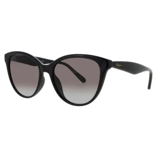 Salvatore Ferragamo SF SF1073S 001 Sunglasses Black Frame Smoke Lenses 54 mm