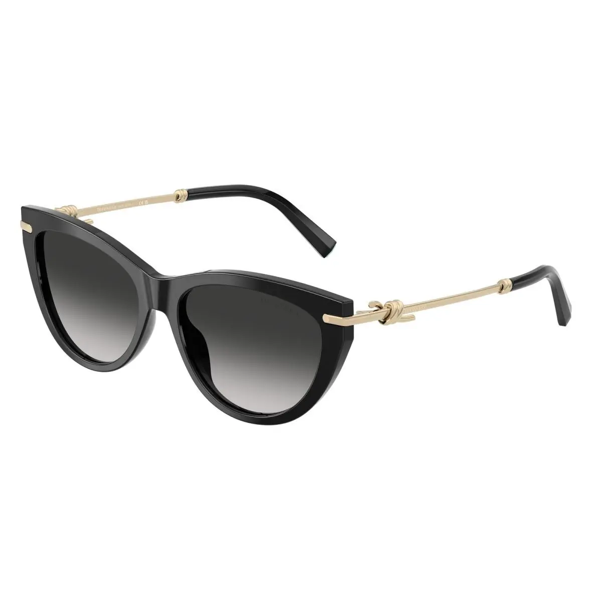 Tiffany 4253 Sunglasses 80013C Black