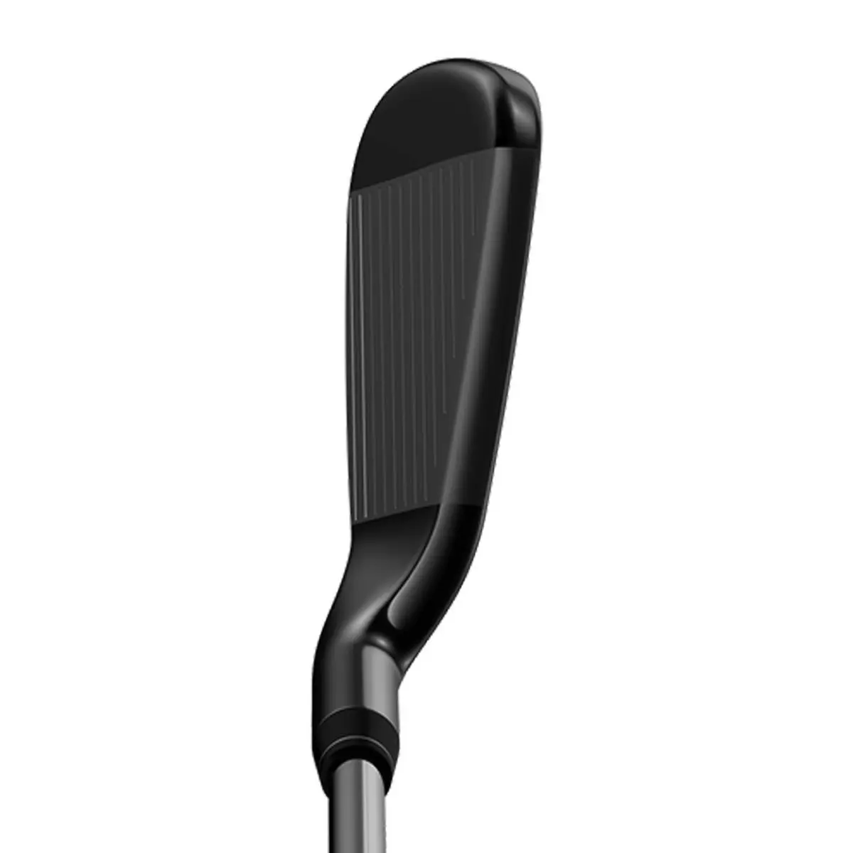 Callaway  - Big Bertha 2019 - Big Bertha (UPC: 190228646781) 1