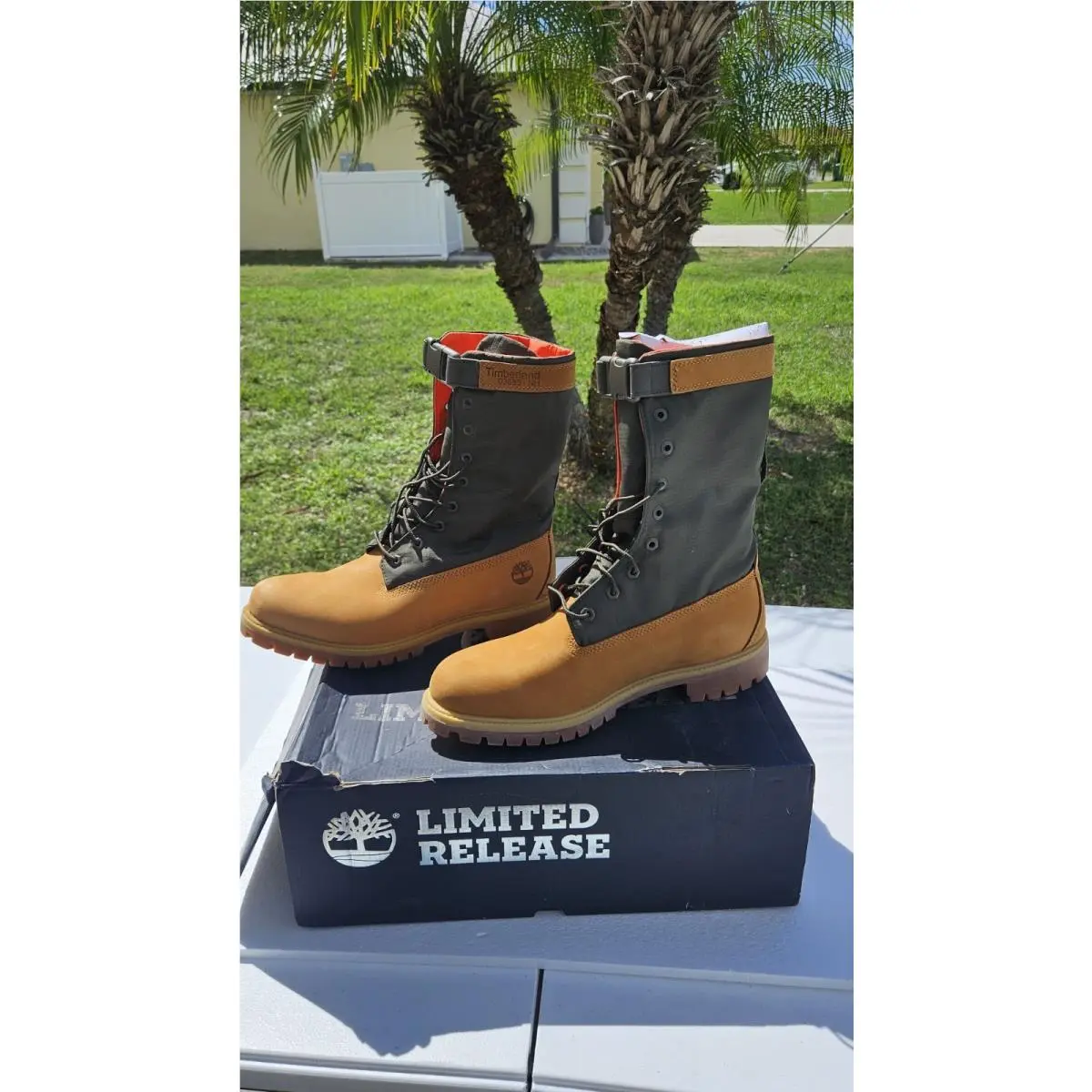 Men`s Timberland 6 In. Premium Gaiter Boot Wheat/green TB0A1QY8 231 Size12