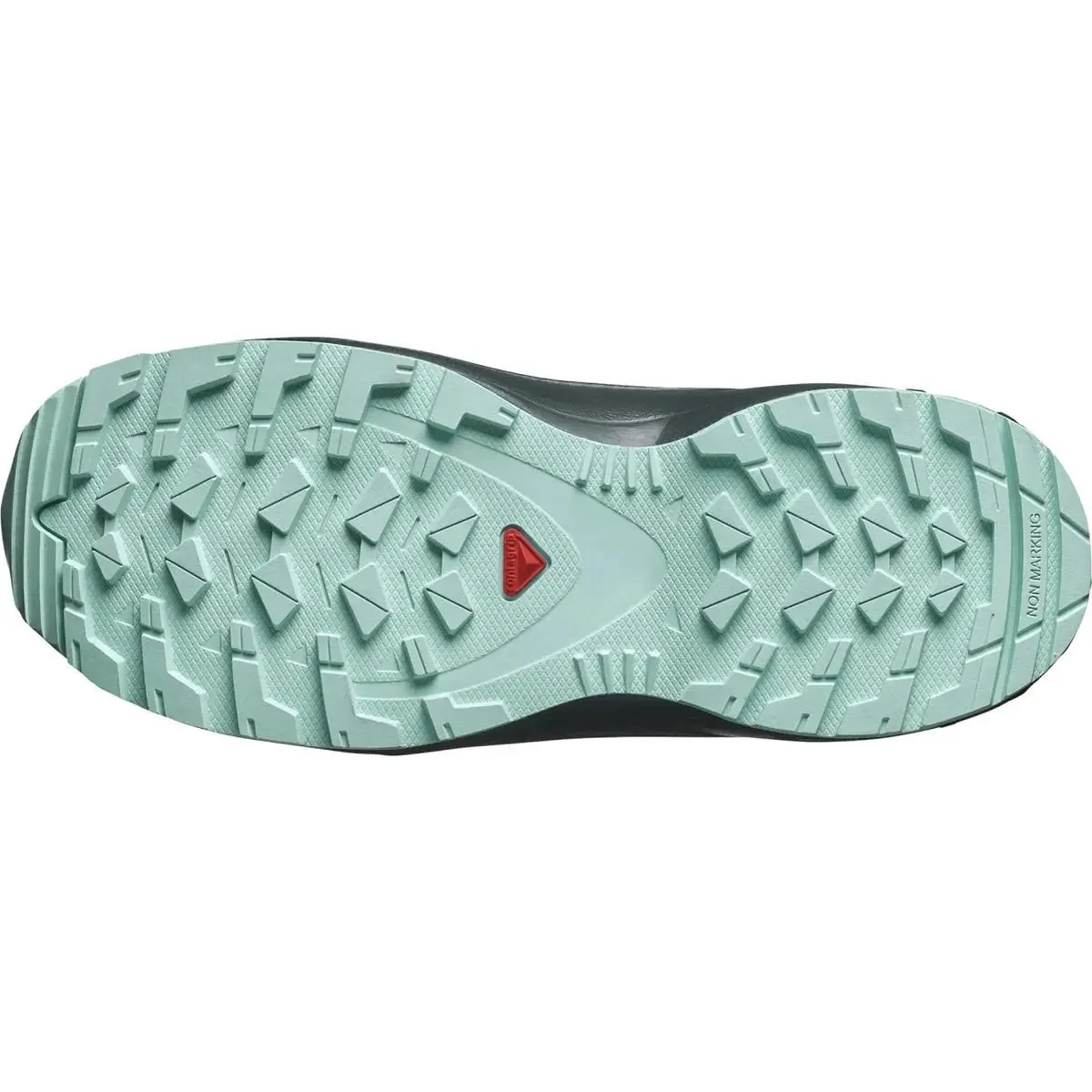 Salomon shoes - Salomon XA Pro - Pro - Blue 4
