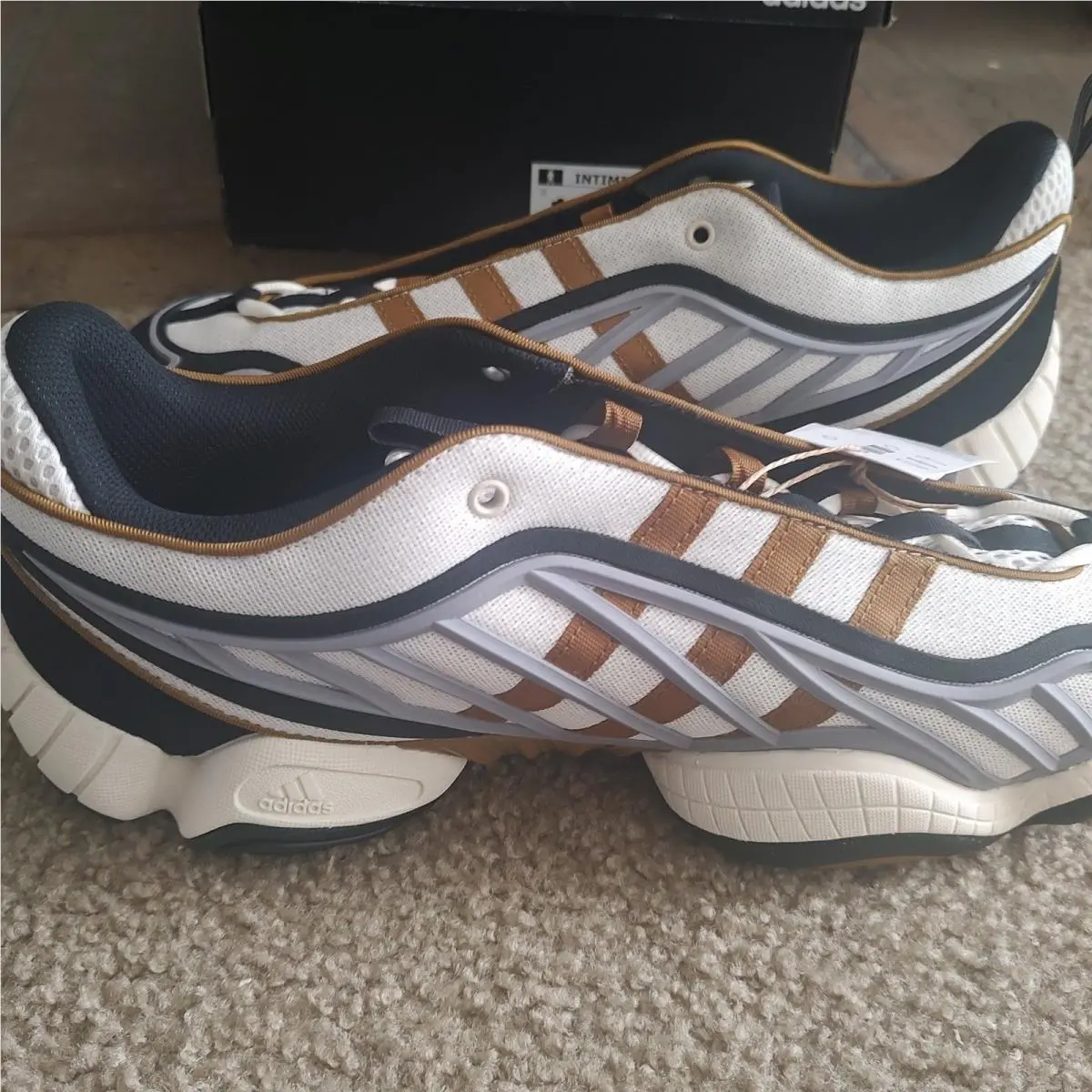 Adidas shoes - Intimidation Low - Intimidation Low - Multicolor 0