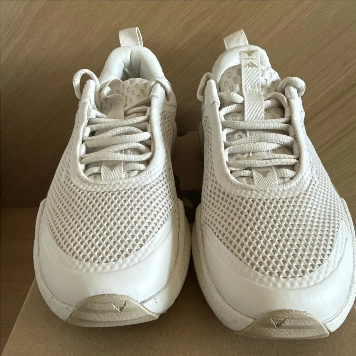 Under Armour shoes - Under Armour Project Rock BSR 5 - 3028301-279 - Stone / Field Khaki (UPC: 0198633070139) 2