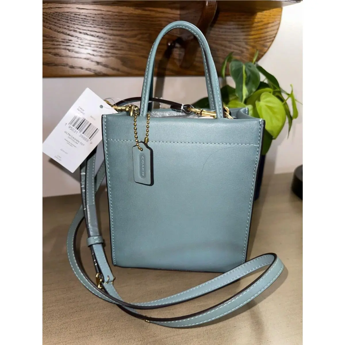 Coach Glovetanned Cashin Tote Crossbody Bag Purse Sage Leather 4828