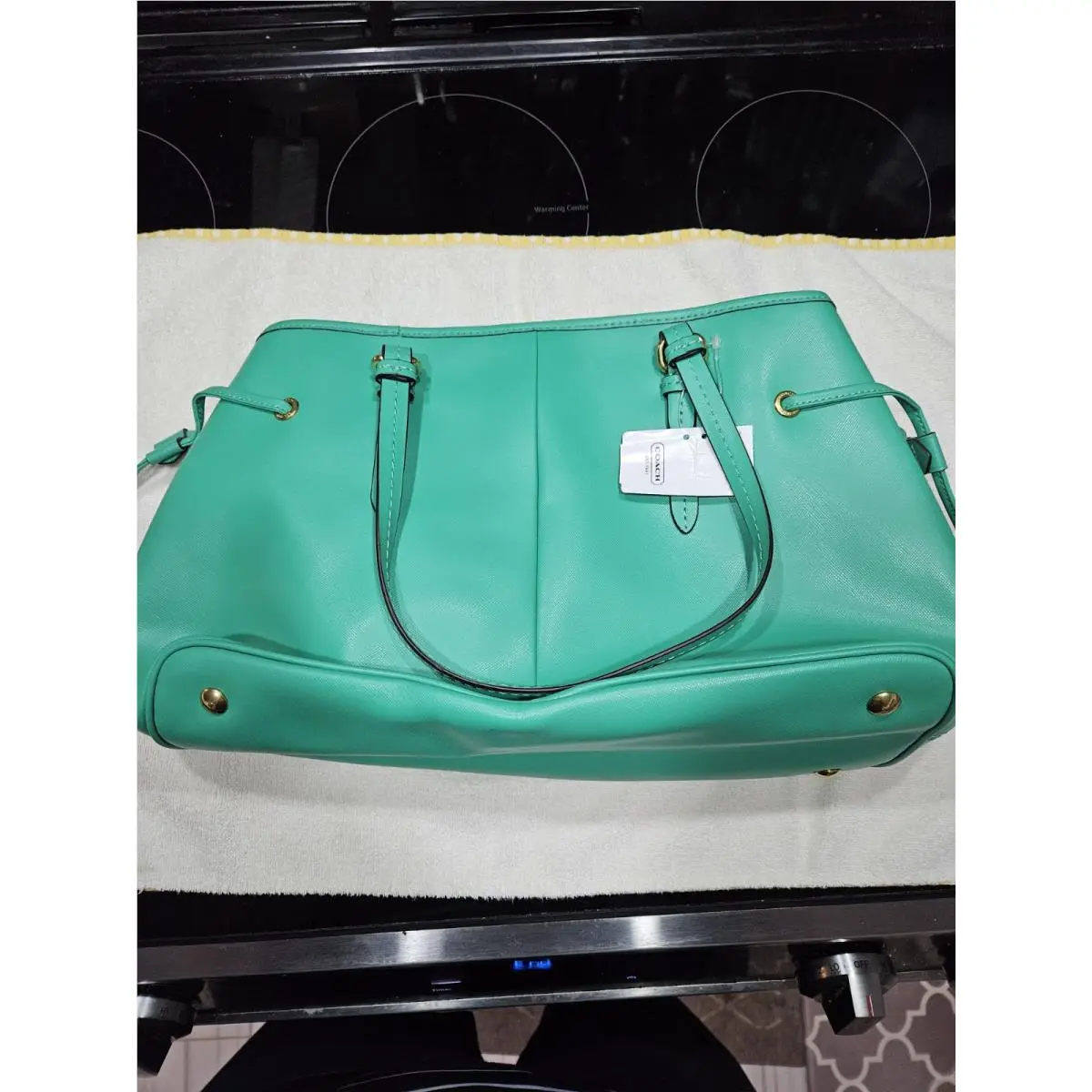 Coach Peyton Leather Jade Satchel