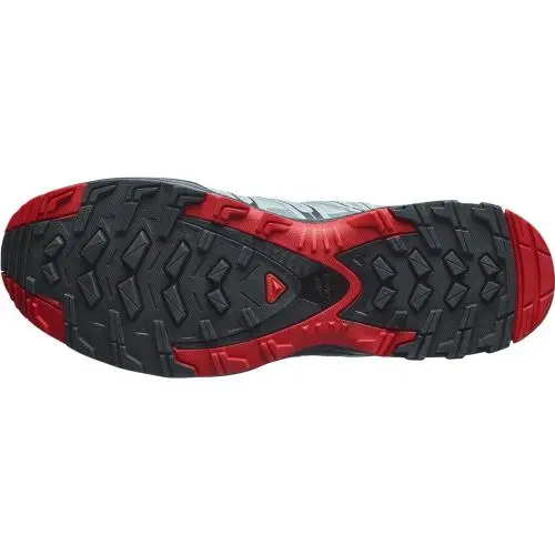 Salomon shoes - Lead/Black/Barbados Cherry 2