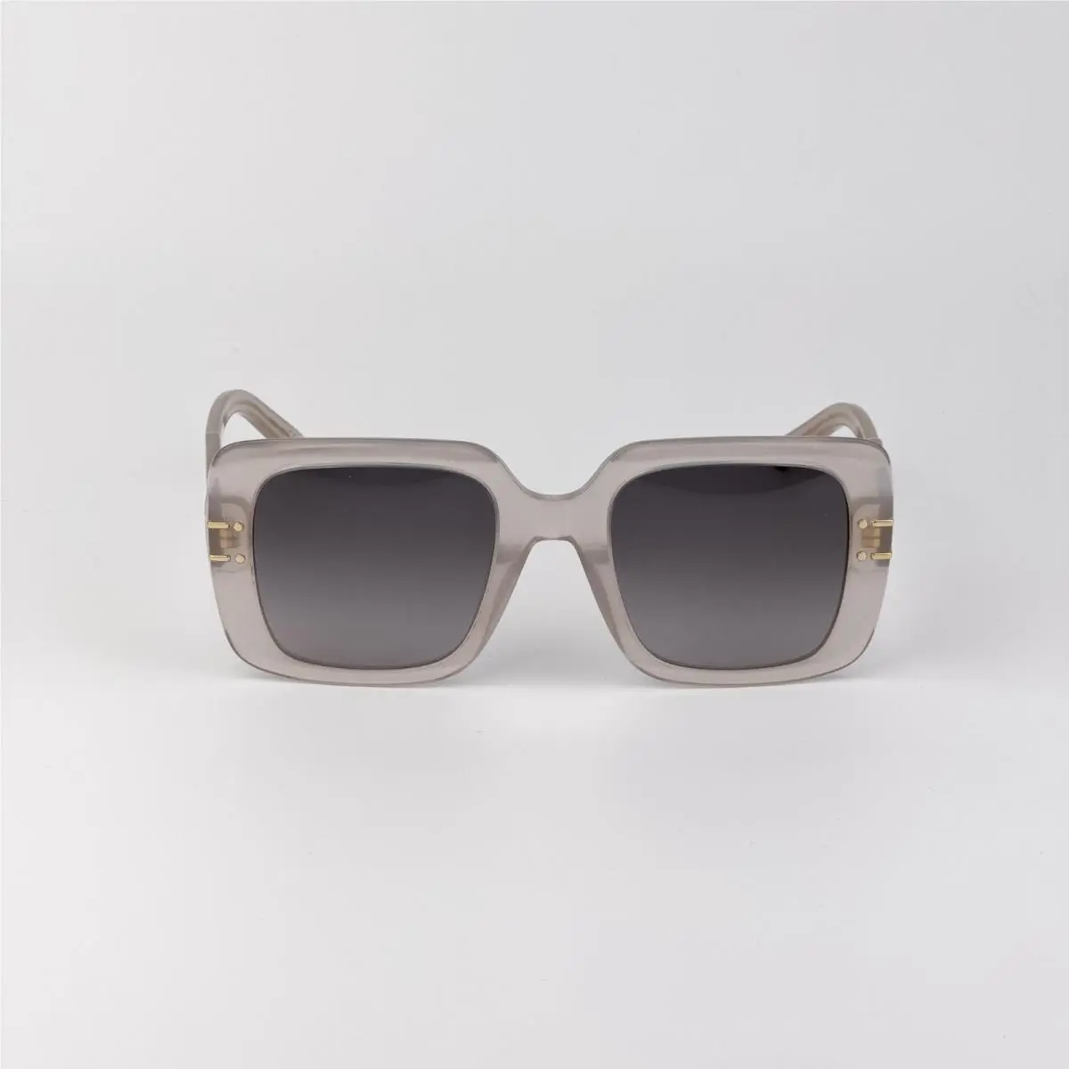 Dior Men Sunglasses Beige Smoke Gradient Square Diorsignature S11I 78A1