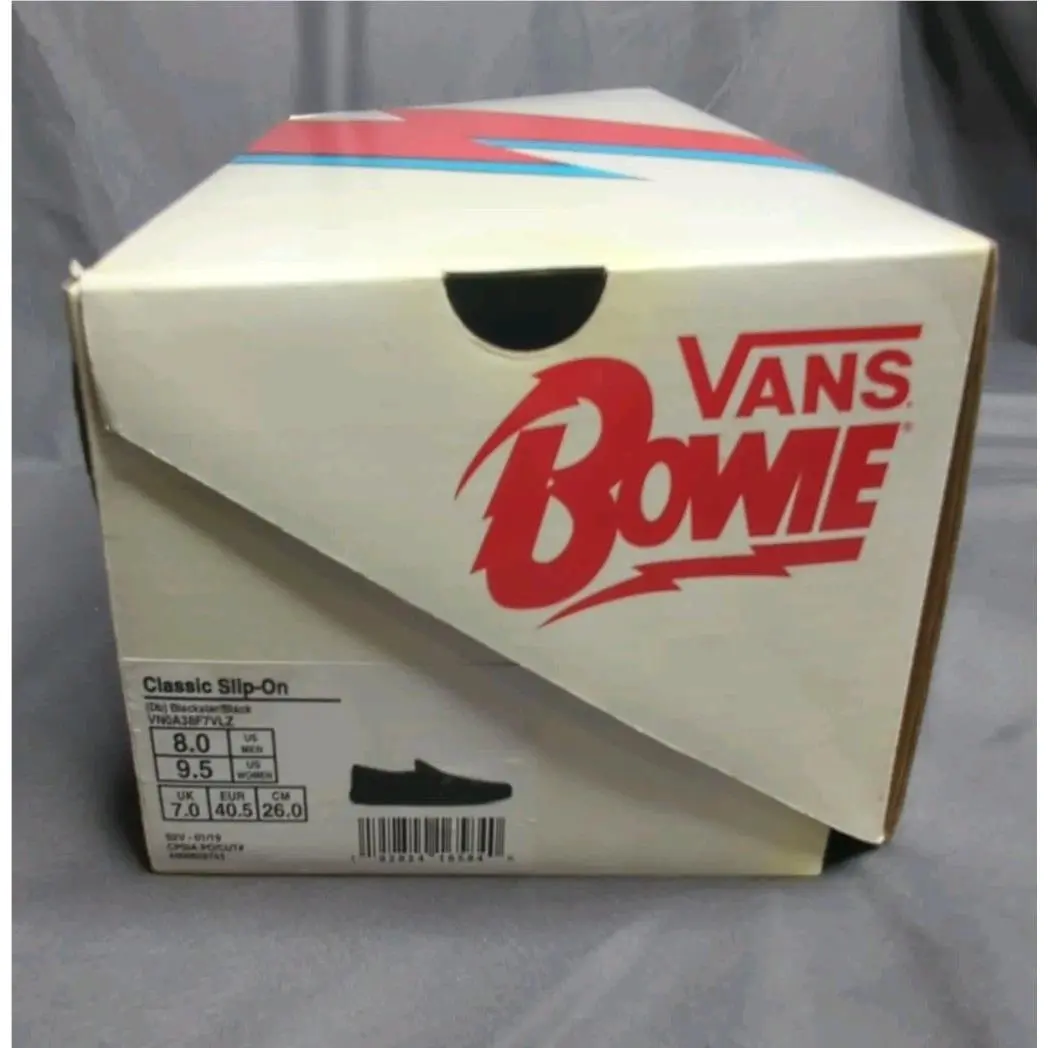 Vans shoes - VANS X David Bowie - David Bowie - VN0A38F7VLZ - Black 3