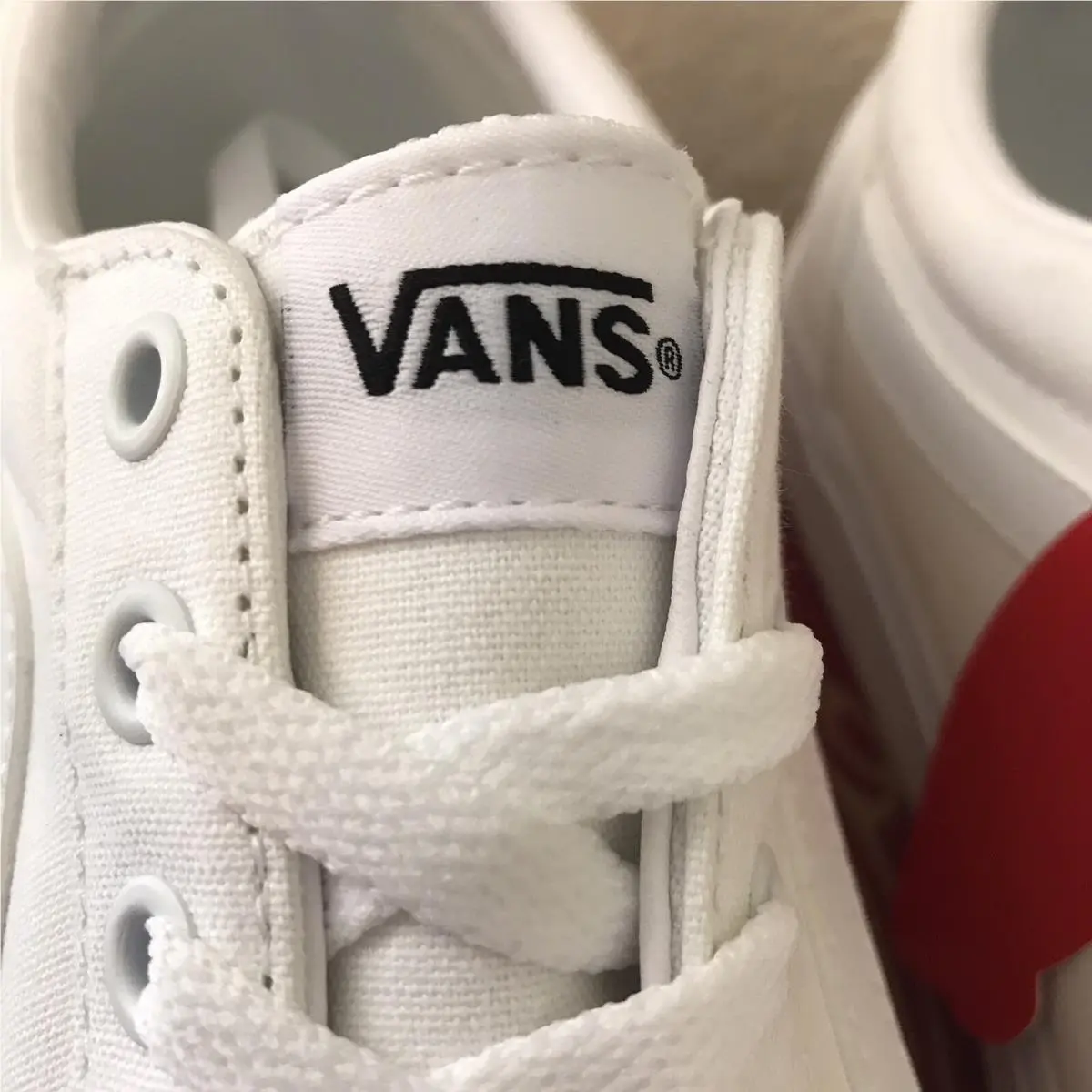 Vans shoes - VANS Ward - Ward - White 4