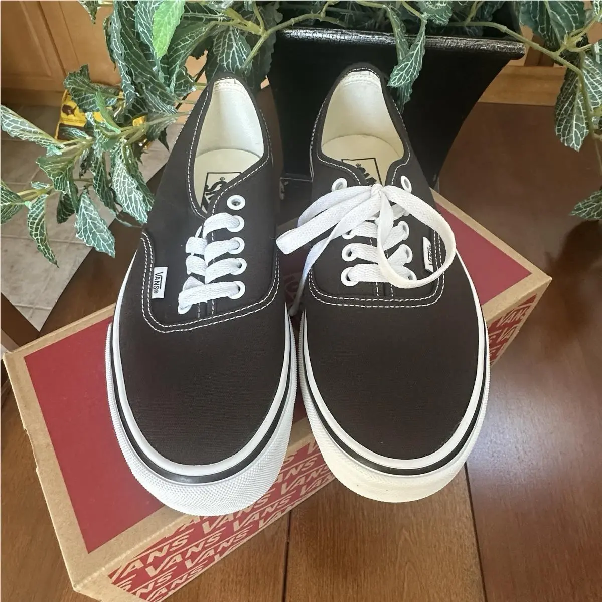 Vans Authentic Men’s 8 Color Theory Turkish Coffee Brown Low Top Canvas Sneaker