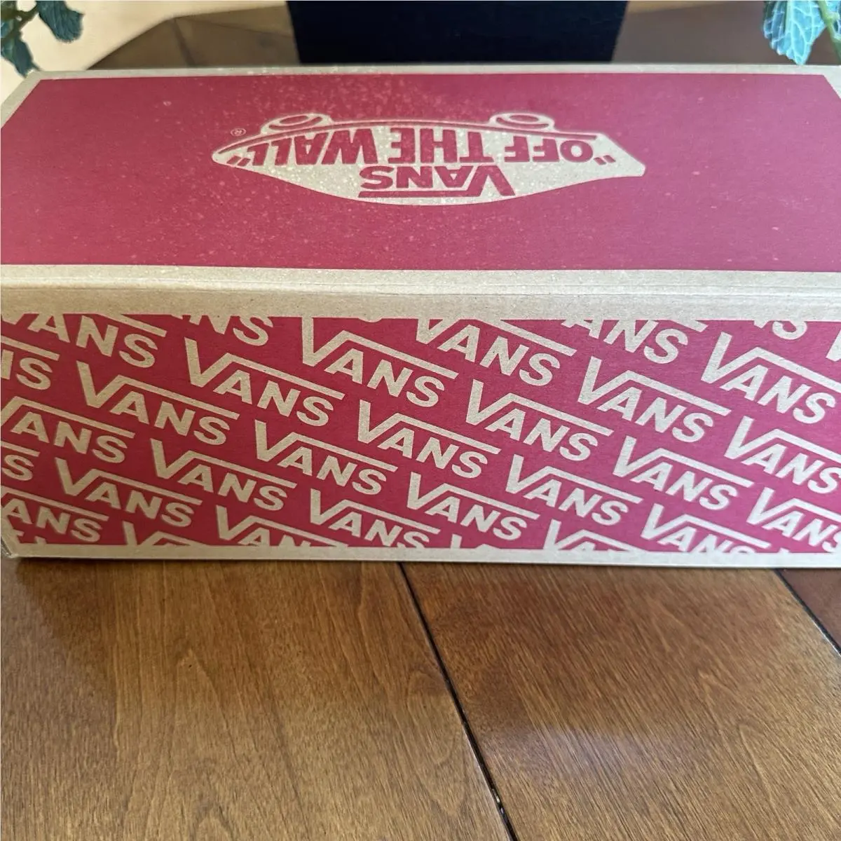 Vans shoes - VANS Authentic - Authentic - VN0A2Z3ZD4C - Brown (UPC: 0197065616991) 13