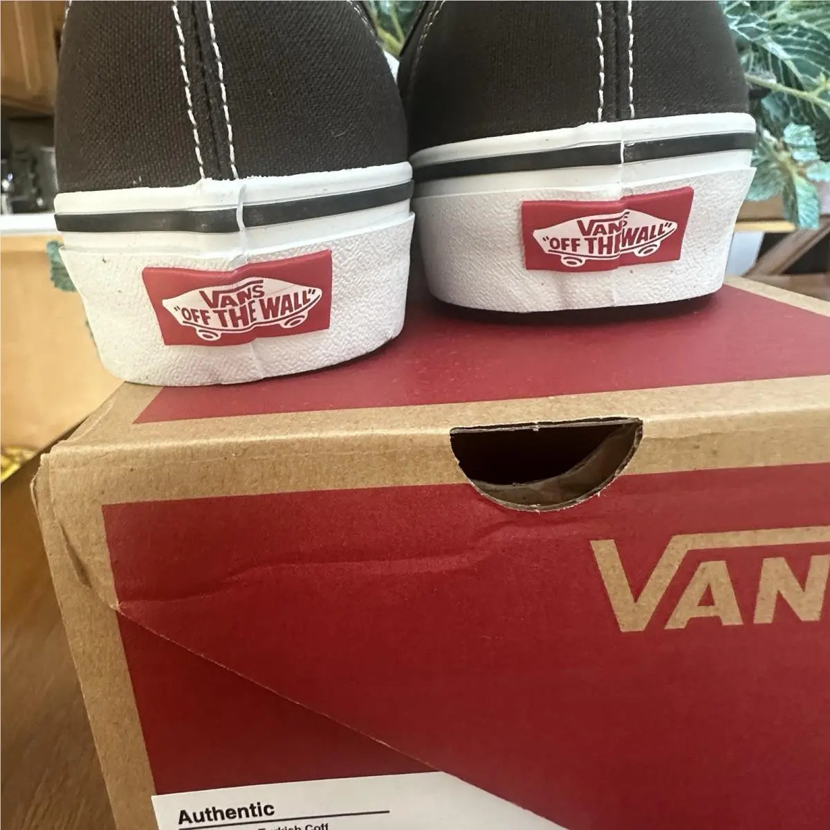 Vans shoes - VANS Authentic - Authentic - VN0A2Z3ZD4C - Brown (UPC: 0197065616991) 3