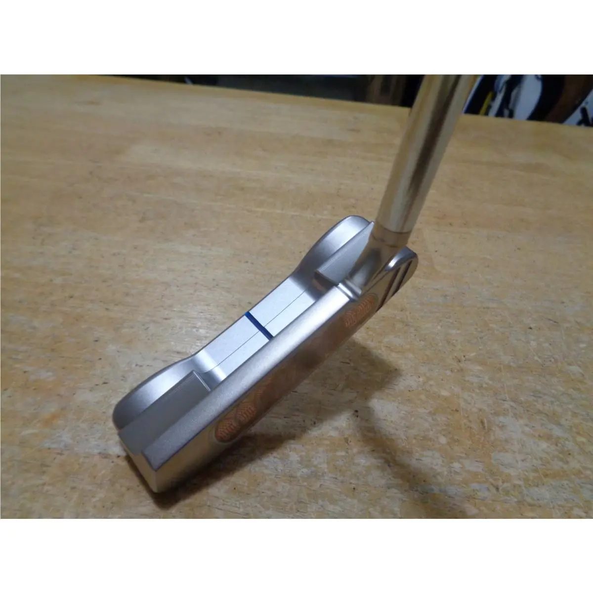 Scott  - Champion Choice Button Back Newport 1.5+ 3