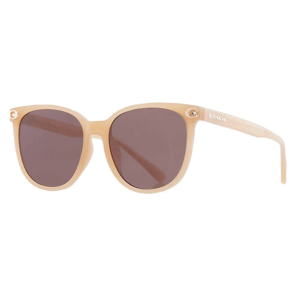 Coach Brown Cat Eye Ladies Sunglasses HC8414BD 585473 57 HC8414BD 585473 57