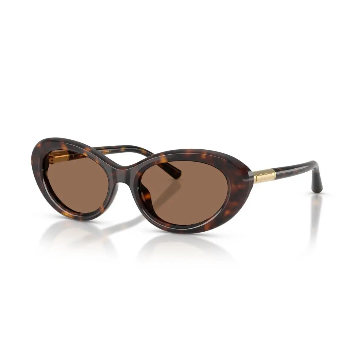 Dolce Gabbana DG 4519 Havana/brown 502/73 Sunglasses